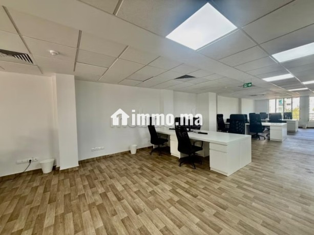 bureau-245-m2-racine-big-6