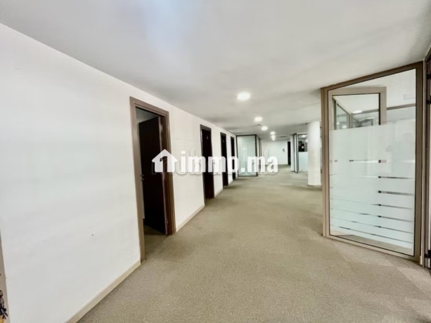 plateau-de-bureau-228-m2-quartier-racine-big-3