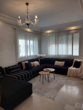 superbe-appartement-meuble-avec-terrasse-big-1