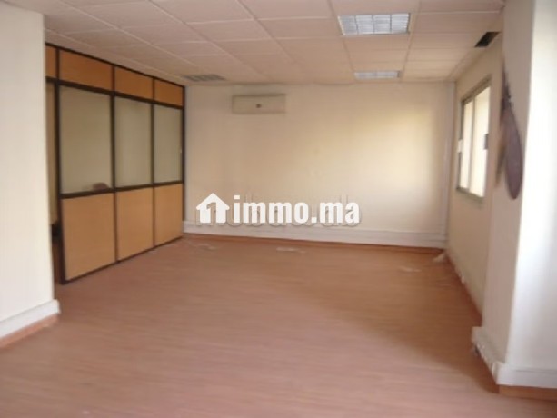 plateau-de-bureau-lpb-08-de-330m2-a-palmier-big-1