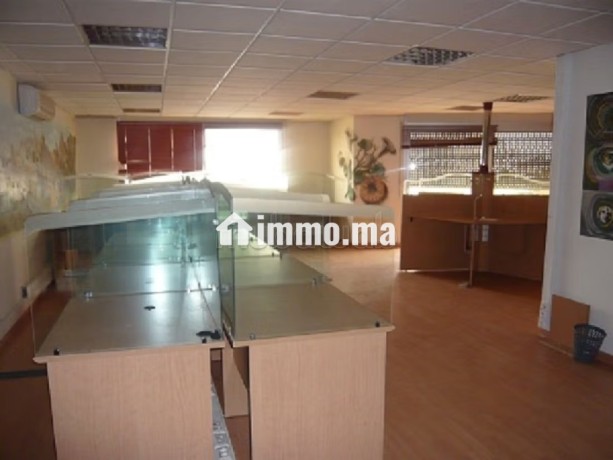 plateau-de-bureau-lpb-08-de-330m2-a-palmier-big-2