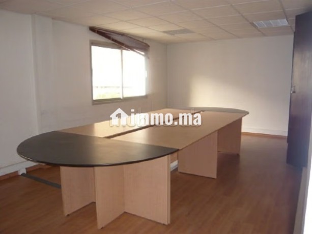 plateau-de-bureau-lpb-08-de-330m2-a-palmier-big-3