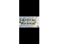appartement-en-vente-a-hay-hassani-surface-totale-85-m2-conciergerie-a-disposition-systeme-de-climatisation-small-0