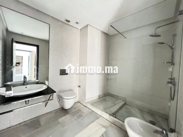 vente-dun-bel-appartement-a-bourgogne-ouest-surface-totale-157-m2-residence-avec-concierge-climatisation-generale-big-15