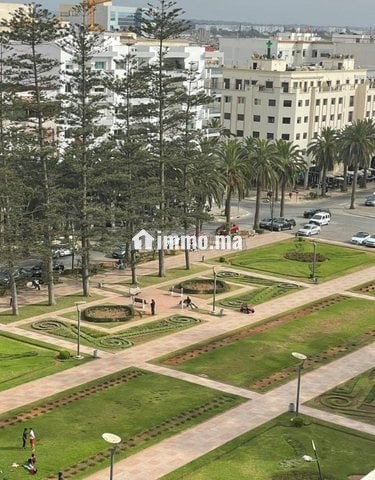 Plateau Bureau à Louer Quartier du Parc Mohammedia - Bureau à louer - Mohammedia