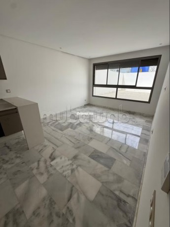 vente-dun-bel-appartement-a-palmier-1-piece-bien-meuble-big-8