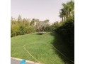 villa-moderne-avec-belle-et-jardin-small-16