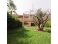 villa-moderne-avec-belle-et-jardin-small-6