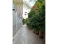 appartement-meuble-location-habitation-a-gueliz-small-11