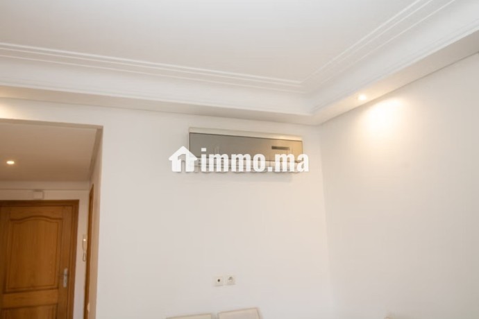 magnifique-grand-studio-a-maarif-avec-terasse-big-6