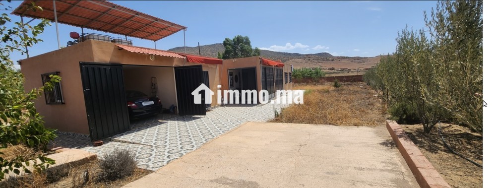 Propriété avec oliviers à vendre à Amghass - Terrain à vendre - Azrou