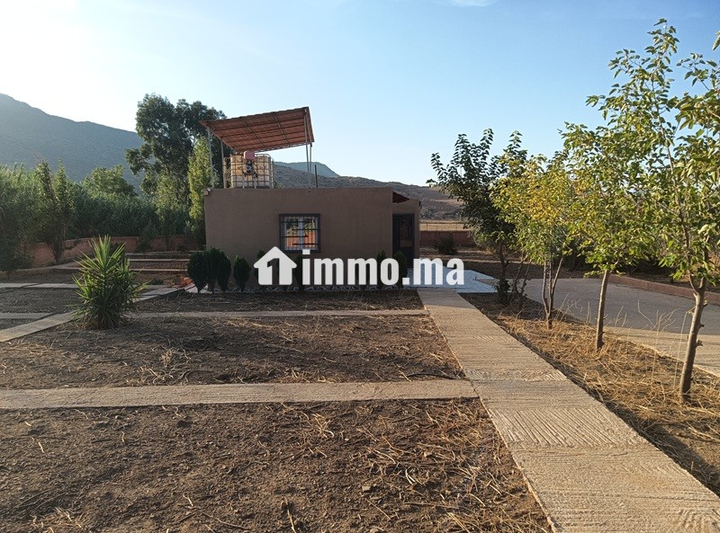 Propriété avec oliviers à vendre à Amghass - Terrain à vendre - Azrou