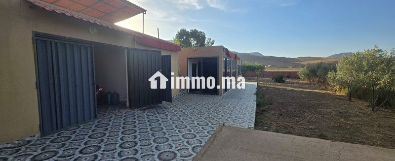 Propriété avec oliviers à vendre à Amghass - Terrain à vendre - Azrou