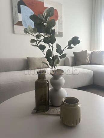 studio-meuble-neuf-haut-standing-en-location-au-cil-big-2