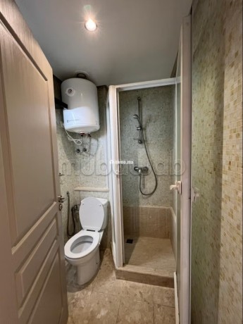 studio-a-vendre-avec-terasse-au-quartier-gauthier-big-5