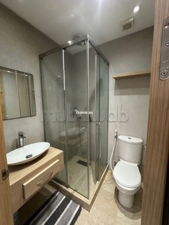 studio-meuble-ter-a-louer-a-borgougne-ouest-big-5