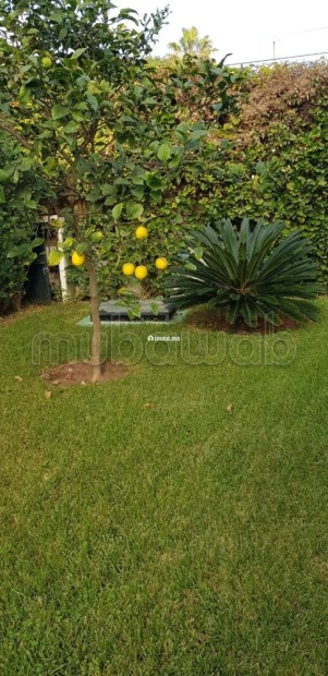Villa de standing à vendre à Harhoura - Vente Immobilier - Temara - photo 7