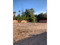 terrain-targa-zone-villa-superficie-600-m2-small-0