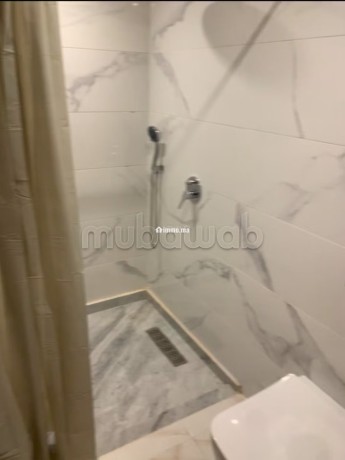 beau-duplex-en-rdc-a-vendre-meuble-a-victor-hugo-surface-totale-97-m2-avec-cour-anglaise-incluse-big-13