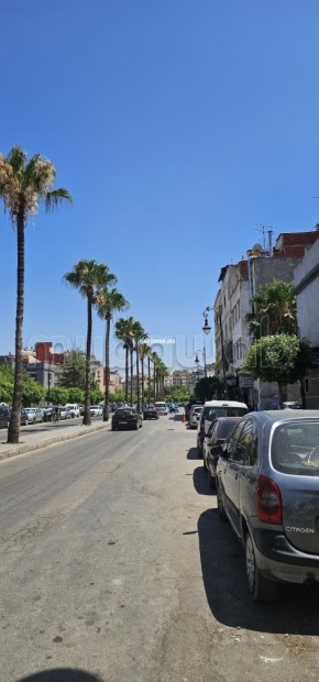Terrain en vente à Casabarata. Surface de 1347 m² - Vente Immobilier - Tanger - photo 1
