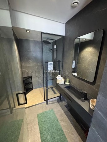 bel-appartement-en-location-a-franceville-surface-totale-59-m2-bien-meuble-big-5
