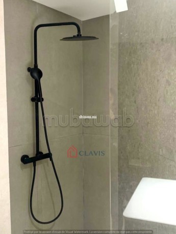 a-louer-appartement-sans-vis-a-vis-palmier-big-13