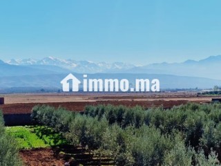 Terrain en vente à Tamazouzte. Surface totale 40000 m² - Terrain à vendre