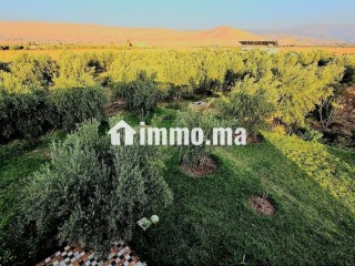 Terrain en vente à Tamazouzte. Surface totale 40000 m² - Terrain à vendre