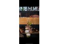 restaurant-haut-de-gamme-small-2