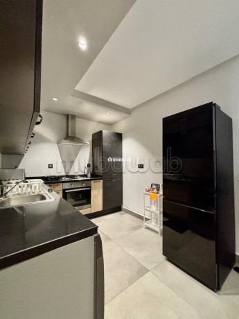 appartement-en-location-a-gauthier-3-pieces-confortables-bien-meuble-big-6