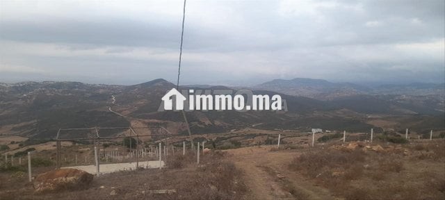 Terrain à vendre à Nounouich - Vente Immobilier - Tanger - photo 3