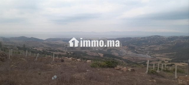 Terrain à vendre à Nounouich - Vente Immobilier - Tanger - photo 4