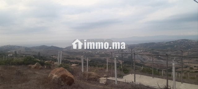 Terrain à vendre à Nounouich - Vente Immobilier - Tanger - photo 5