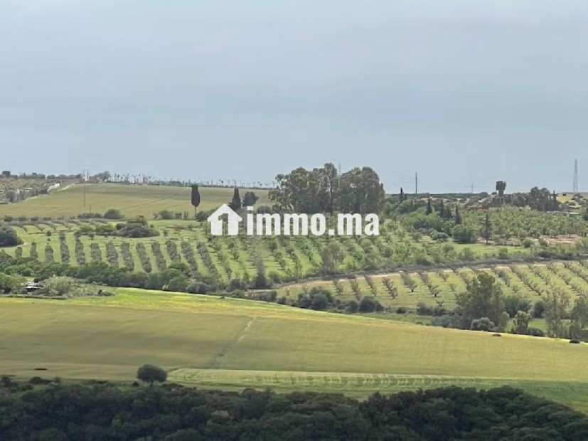 Terrain à la vente à Souissi. Surface de 25000 m² - Vente Immobilier - Rabat - photo 1