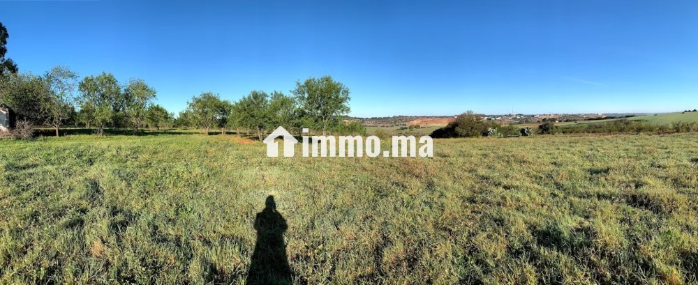 Terrain à la vente à Souissi. Surface de 25000 m² - Vente Immobilier - Rabat - photo 3