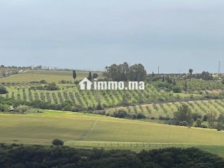 Terrain à la vente à Souissi. Surface de 25000 m² - Terrain à vendre - Rabat