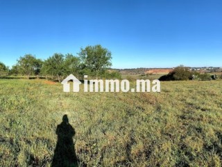 Terrain à la vente à Souissi. Surface de 25000 m² - Terrain à vendre - Rabat
