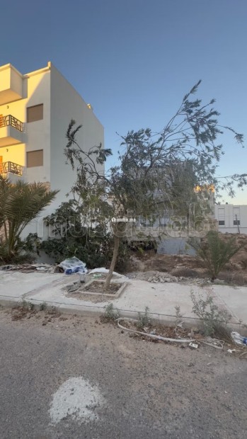 Terrain de 140 m, Titré et immatriculé - Vente Immobilier - Safi - photo 3