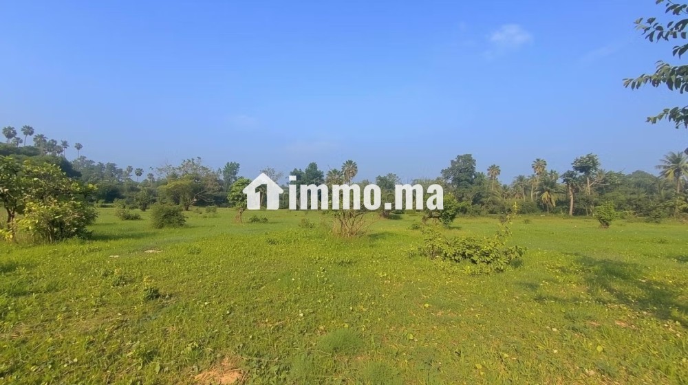Vente terrain / villa à Polo de 2 400 m² - Vente Immobilier - Casablanca - photo 1