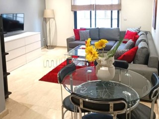 studio-meuble-48m2-4e-terrasse-garage-maarif