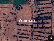 Jamaa El Dhir - Terrain à vendre - Agadir