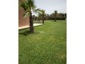 VILLA 360 m2 TITRÉE SUR TERRAIN DE 2000 m2 km29 - miniature 4