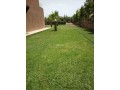 VILLA 360 m2 TITRÉE SUR TERRAIN DE 2000 m2 km29 - miniature 5