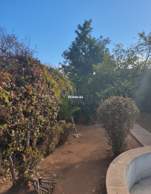 Villa à rénover ou à démolir terrain 714m² POLO - Vente Immobilier - Casablanca - photo 7