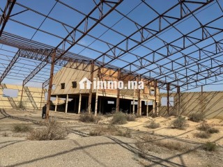 Terrain industriel 6 hectares avec 14000 m² bâtis - Terrain à vendre - Autre