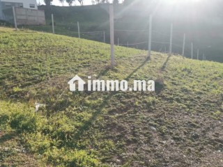 Vente de terrain à M'Diq. Surface totale 660 m² - Terrain à vendre - Mdiq