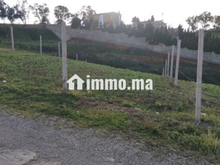 Vente de terrain à M'Diq. Surface totale 660 m² - Terrain à vendre - Mdiq
