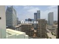 Duplex 184 m² plein sud sans vis 3 chambres CFC - miniature 1