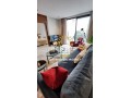 Tres joli produit oasis moderne - miniature 1