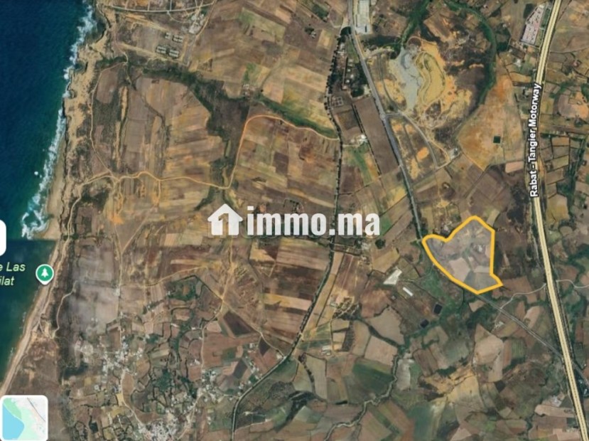 Terrain en vente à Asilah. Superficie 115000 m² - Vente Immobilier - Asilah - photo 1